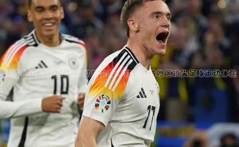 qy球友会体育官网雷柏科技潍坊卡尔美潍坊足球运动协会店：打造潍坊地区顶尖足球运动体验