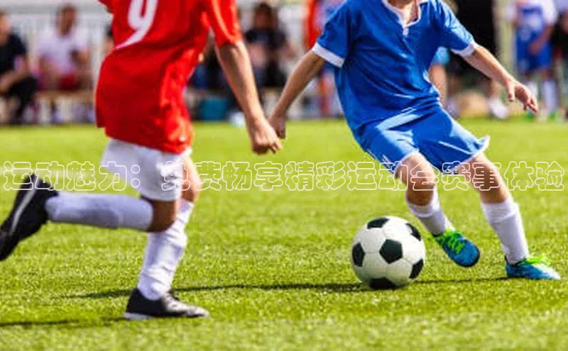 千亿球会网页百度网盘运动魅力：免费畅享精彩运动会赛事体验