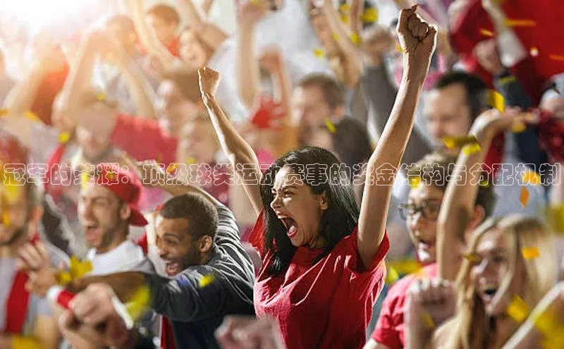 冠军的荣耀：顶级球类运动赛事的奖金结构与分配机制