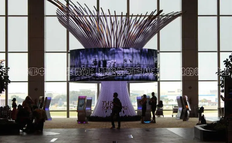 运动赛事中的搞笑瞬间：那些你可能从未注意过的精彩时刻