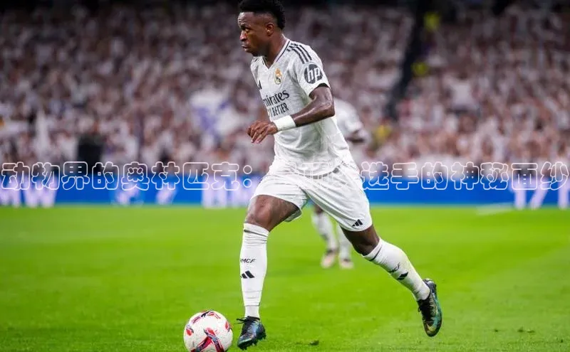 动物界的奥林匹克：最顶尖选手的神秘面纱