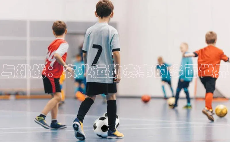 与挑战：农业运动赛事的多面世界