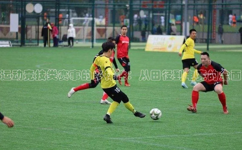 运动竞技类赛事的多样性：从田径到电竞的全面