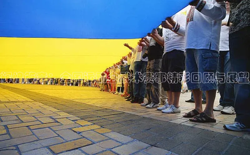 辉煌篇章：全国运动会武术赛事精彩回顾与展望