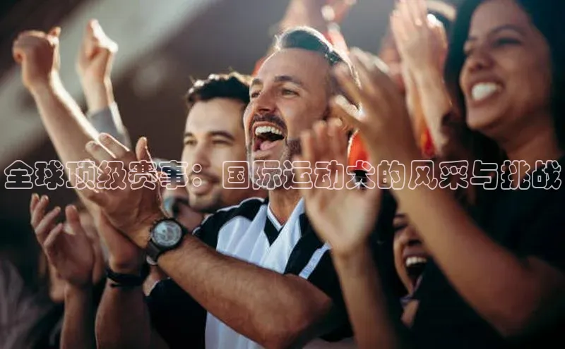 全球顶级赛事：国际运动犬的风采与挑战