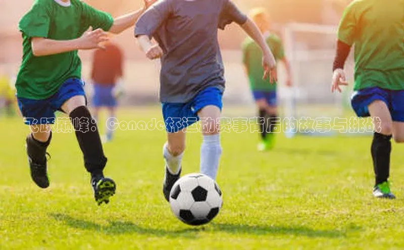 飞跃巅峰：Conade杯运动赛事背后的故事与挑战