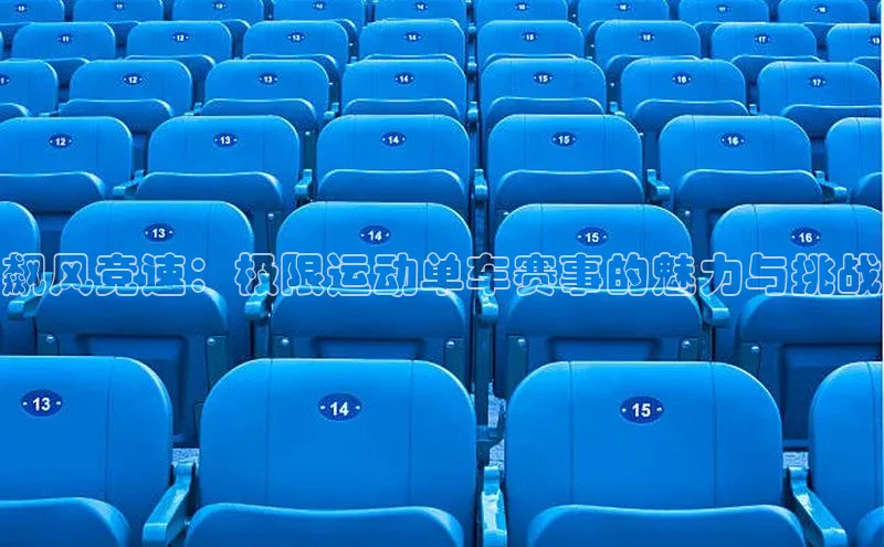 飙风竞速：极限运动单车赛事的魅力与挑战