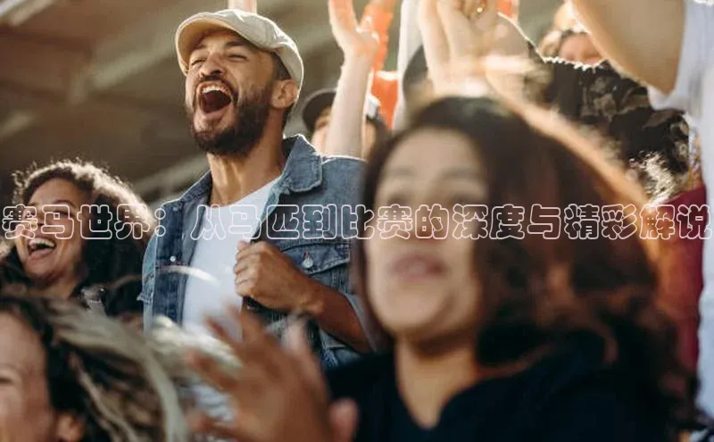 赛马世界：从马匹到比赛的深度与精彩解说