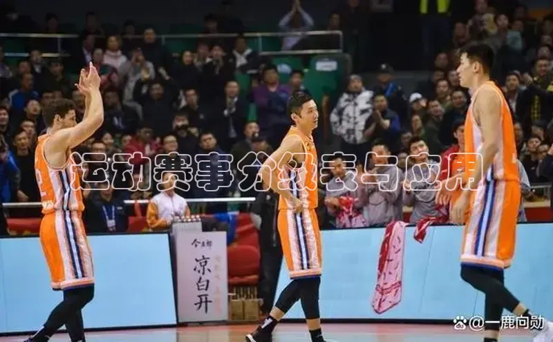 运动赛事分级表与应用