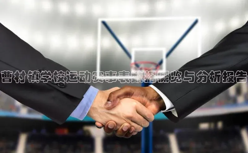 曹村镇学校运动赛事表数据概览与分析报告