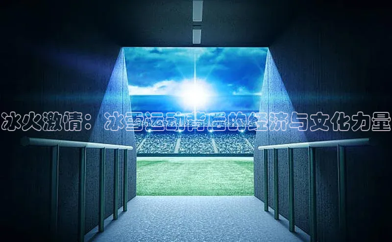 冰火激情：冰雪运动背后的经济与文化力量