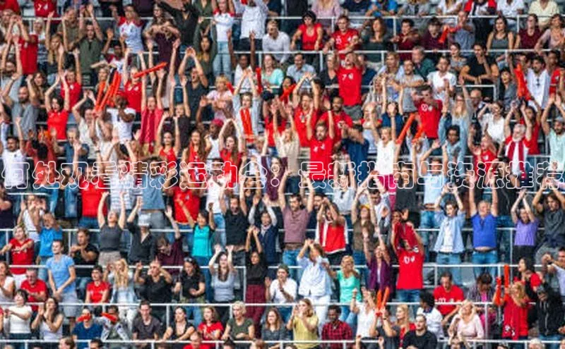 何处观看精彩运动会：最新指南与资源推荐