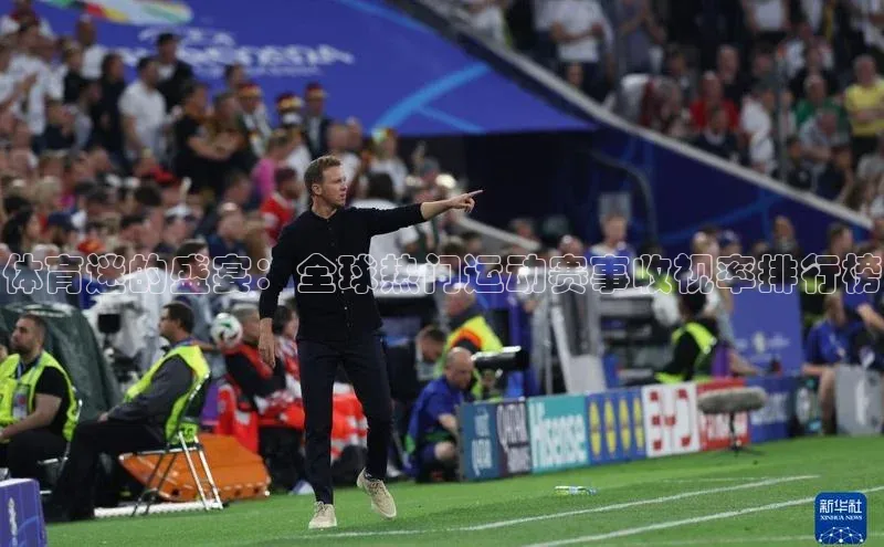 体育迷的盛宴：全球热门运动赛事收视率排行榜