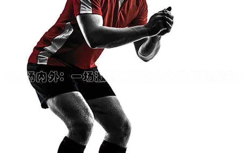 《赛场内外：一场激烈角逐的全方位解说指南》