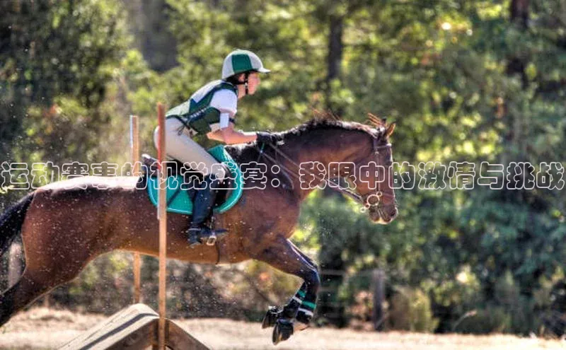 运动赛事的视觉盛宴：我眼中的激情与挑战