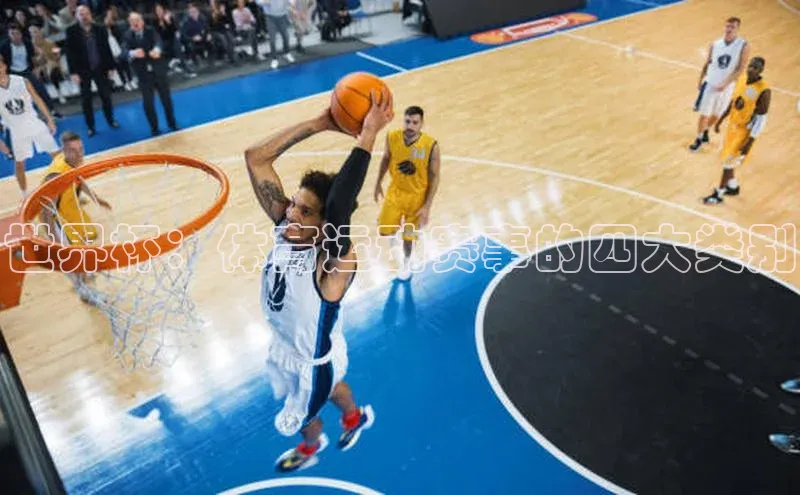 世界杯：体育运动赛事的四大类别