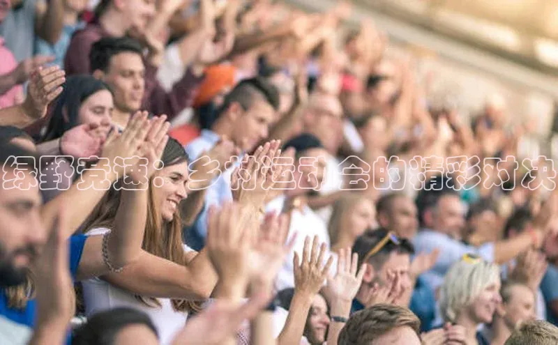 绿野竞速：乡村运动会的精彩对决