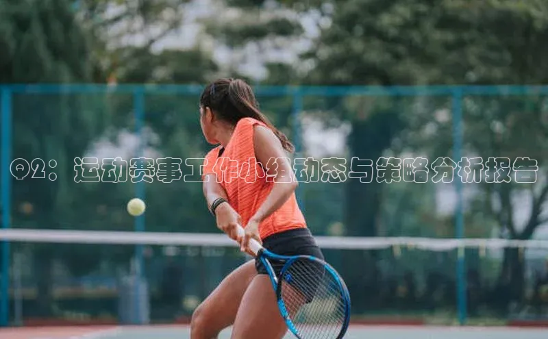 Q2：运动赛事工作小组动态与策略分析报告