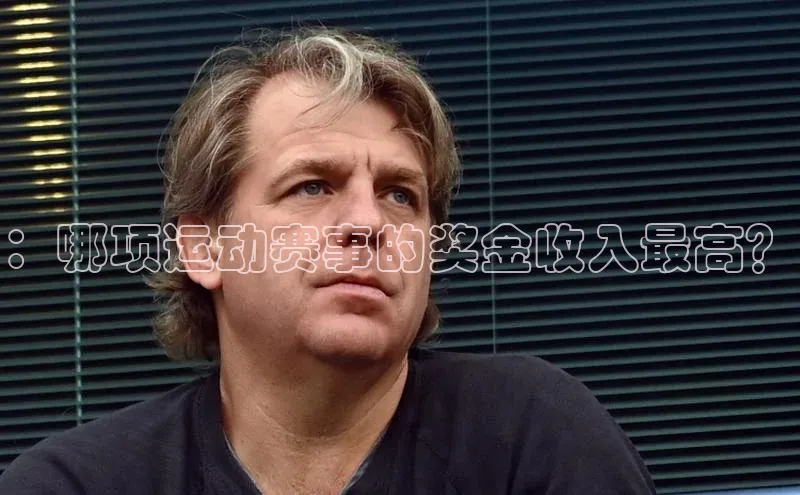 ：哪项运动赛事的奖金收入最高？