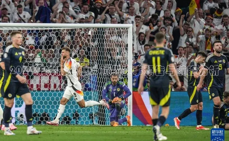 2024年体育盛事：顶级赛事预告与前瞻分析