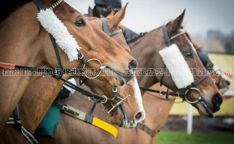 qy球友会网站登录入口