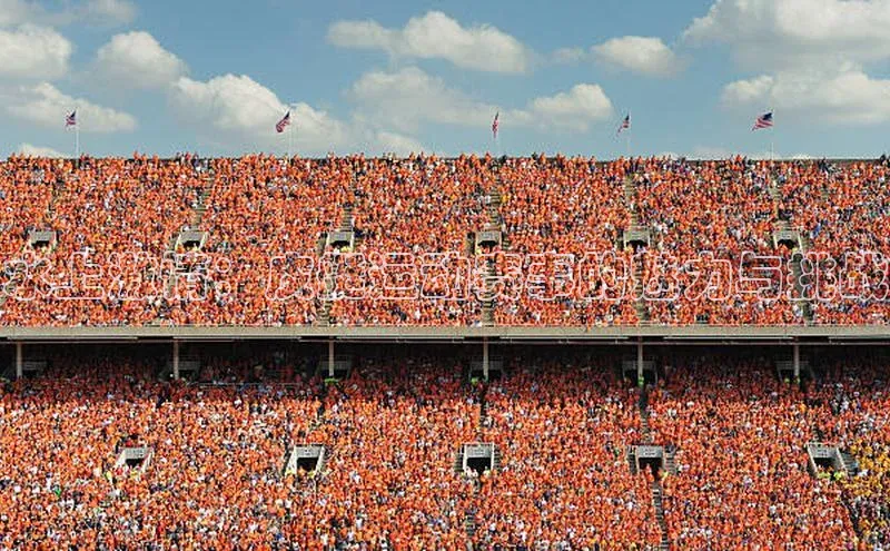 水上激情：皮艇运动赛事的魅力与挑战