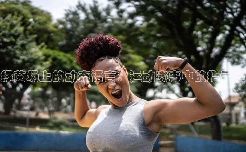 绿茵场上的动态语言：运动赛事中的指示旗