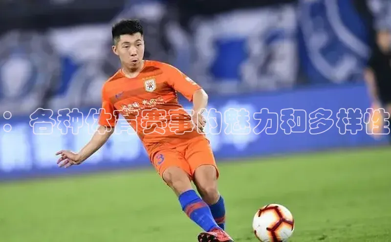 ：各种体育赛事的魅力和多样性